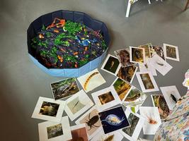 The Indicator Scoop: Educating All Ages on the Importance of Vernal Pools